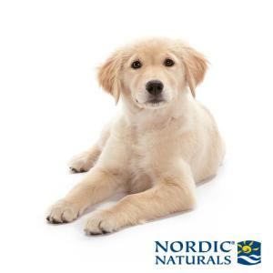 NORDIC NATURALS PET