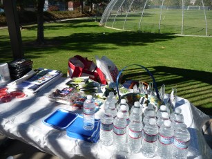 DISNEY SIDE PARTY PICS