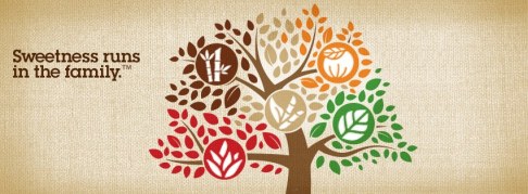 MONK FRUIT IN THE RAW