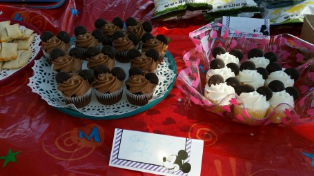 20150208_114225_resized_1