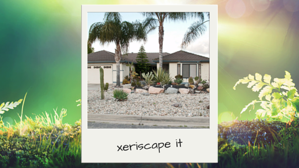 xeriscapeit-earthday